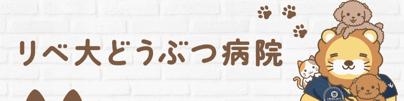 リベ大どうぶつ病院